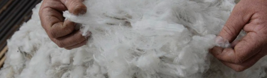 What is Quality Australian Wool – and Why Does It Matter in Your Quilt?