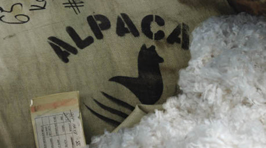 Blog_Creswick-and-The-Use-of-Australias-finest-Alpaca-Fibre