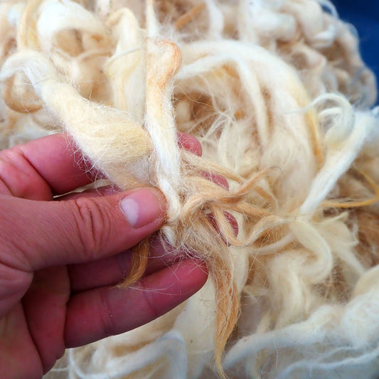 What are Wool Fibers