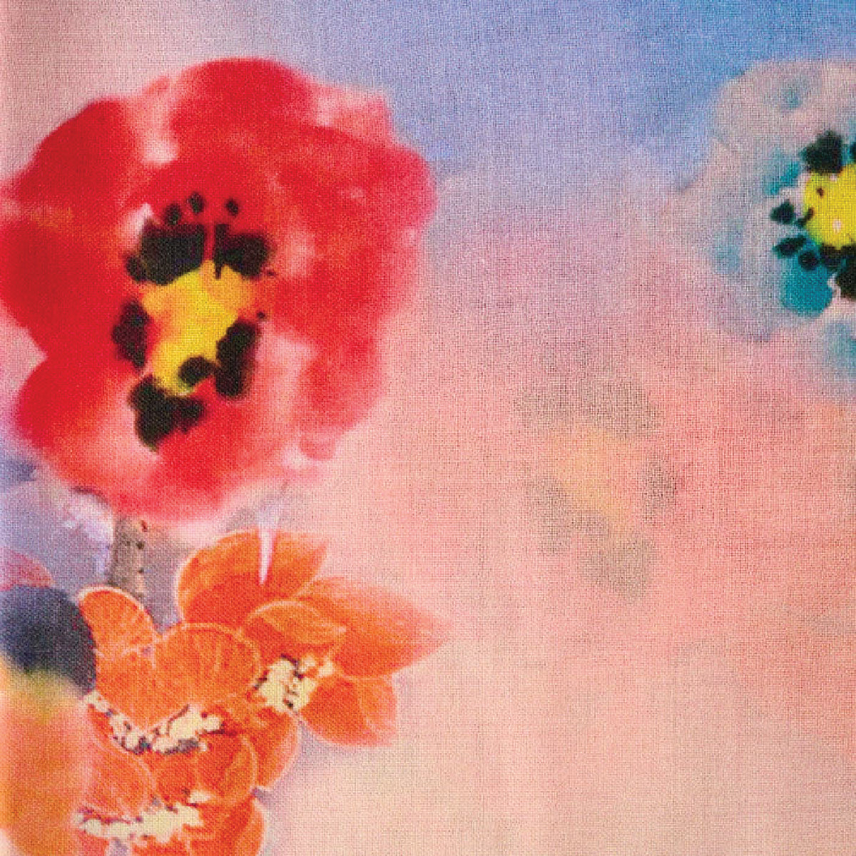 100% Printed Wool Scarf