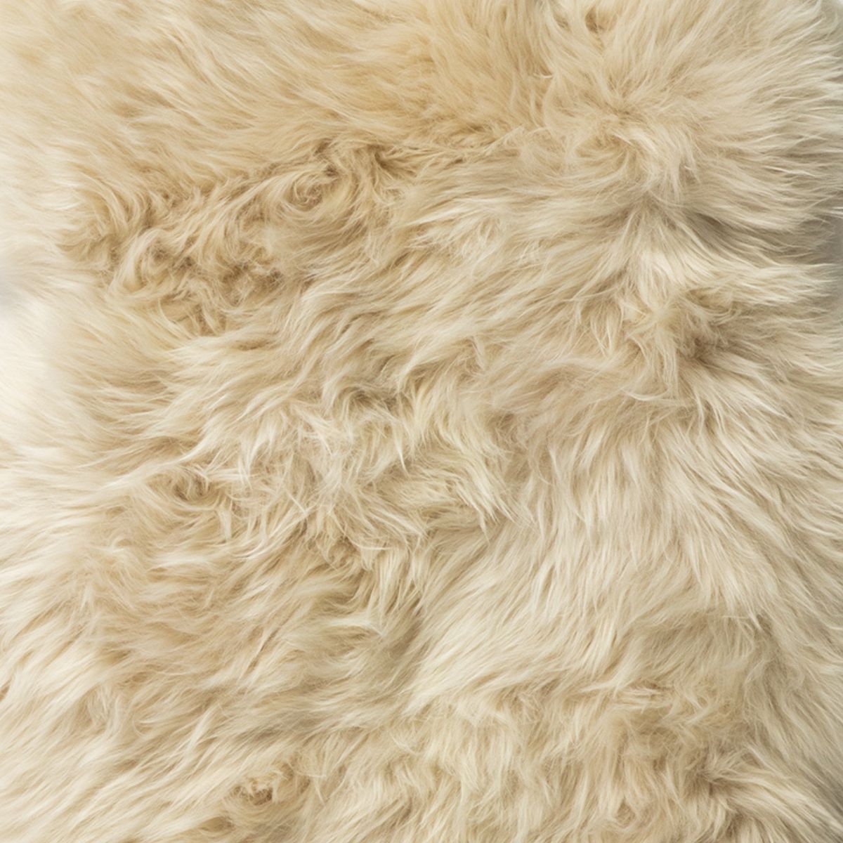 Longwool Sheepskin Rug - 100cm