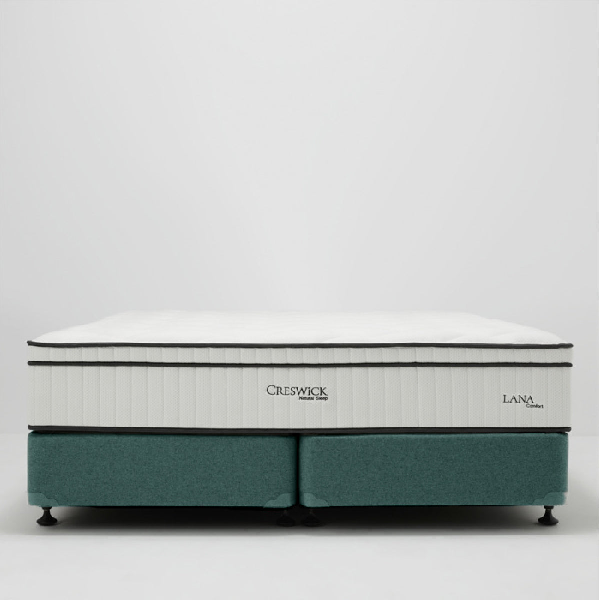 Base Type Options Base Type