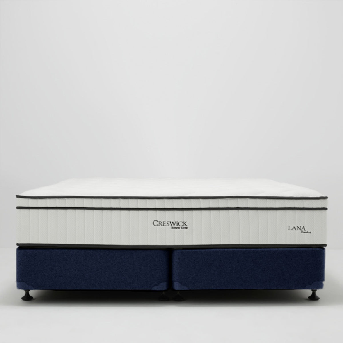 Base Type Options Base Type