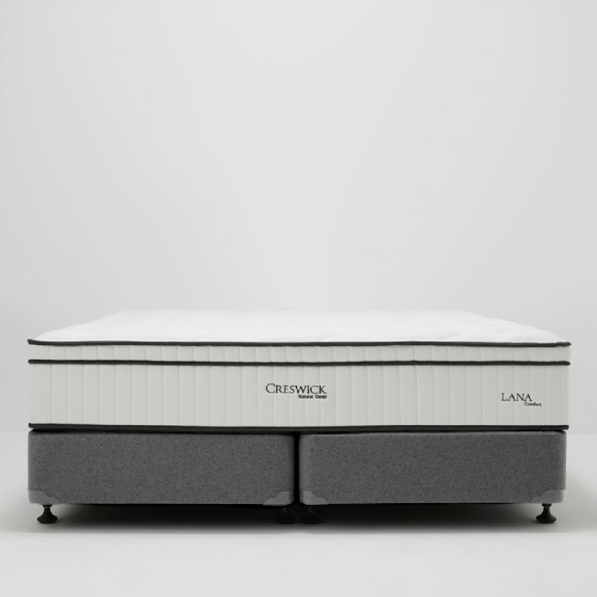 Base Type Options Base Type