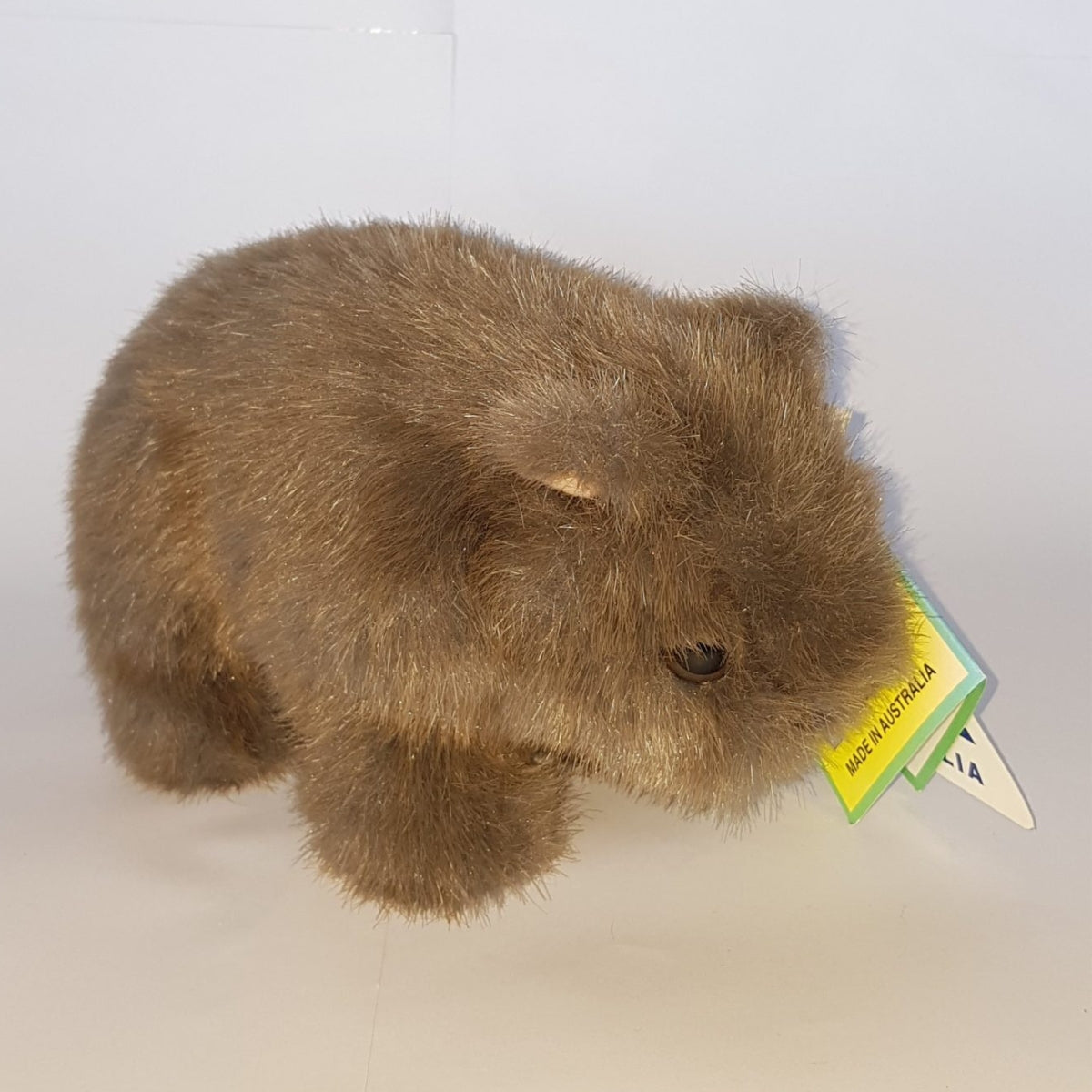 Windmill - Banjo Wombat