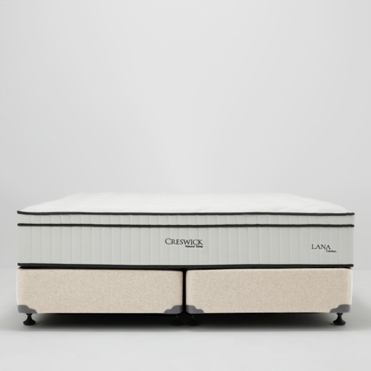 Base Type Options Base Type