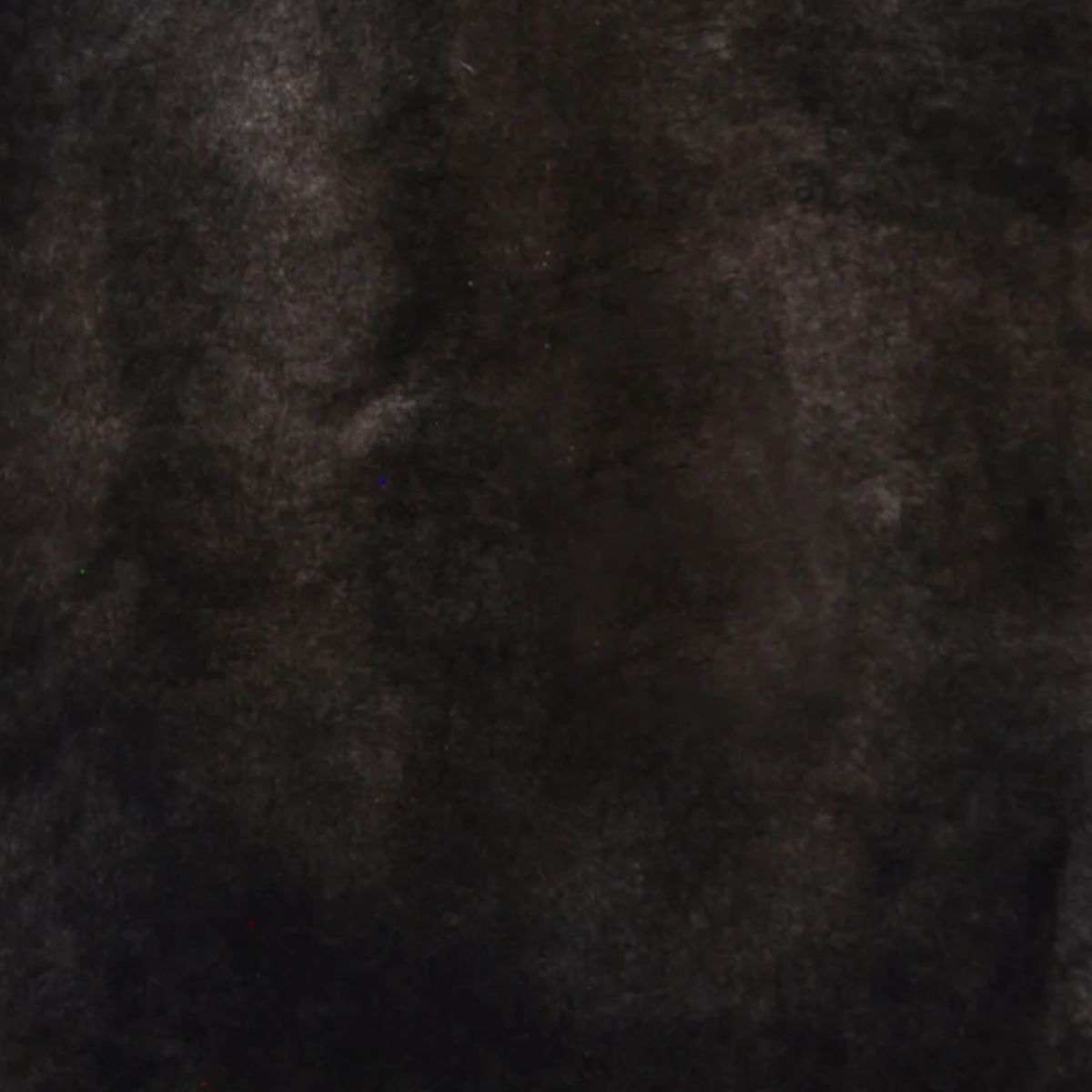 Shorn Sheepskin Rug