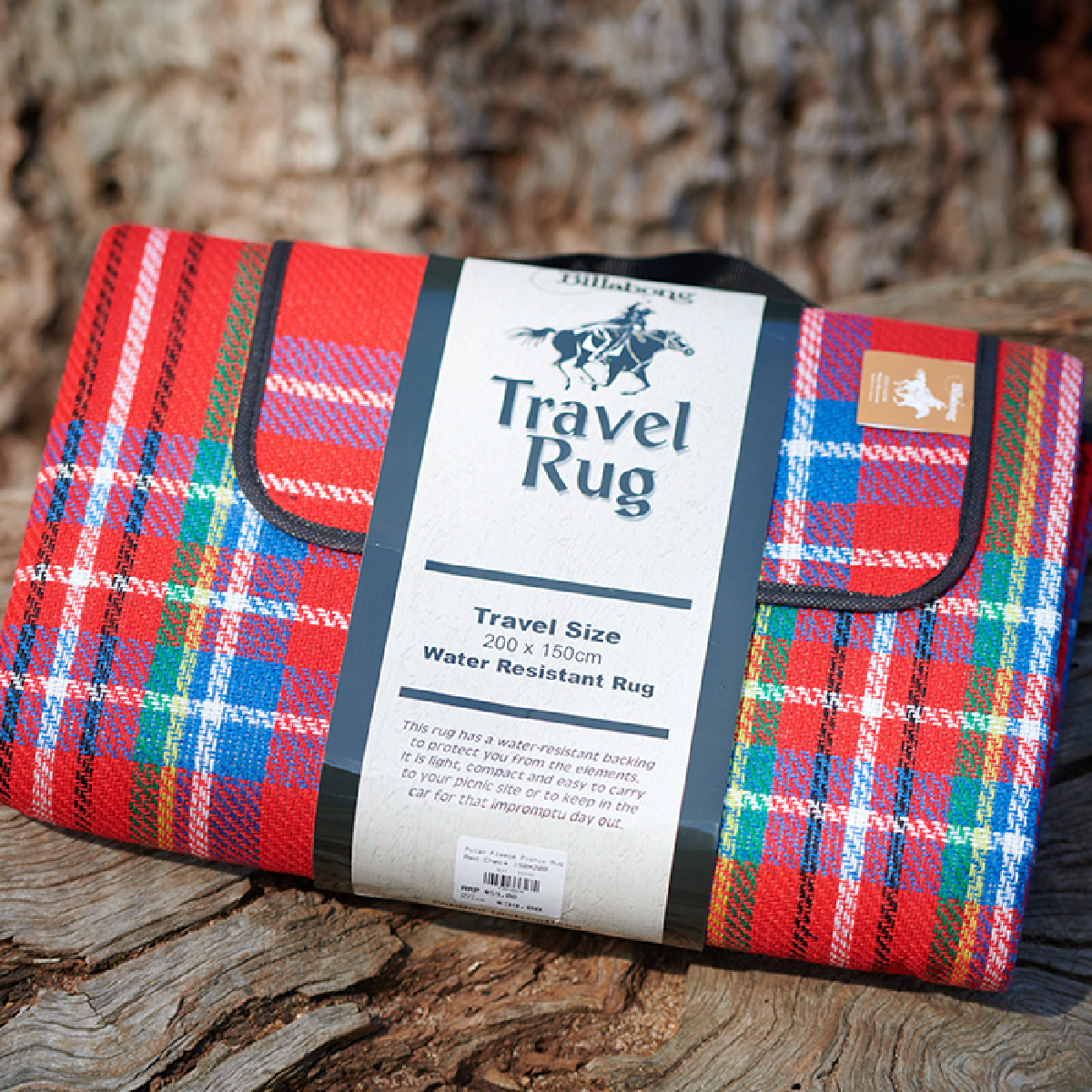 Billabong Water Resistant Picnic Blanket Check