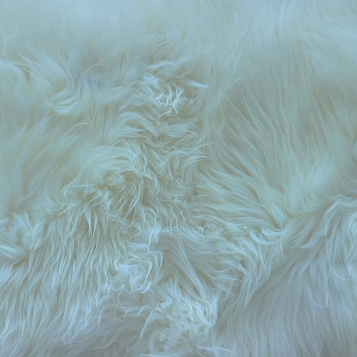Lhasa Skin