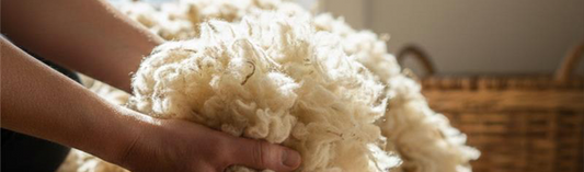 Could Wool’s Natural Wicking Power Be the Secret Ingredient to Better Sleep?