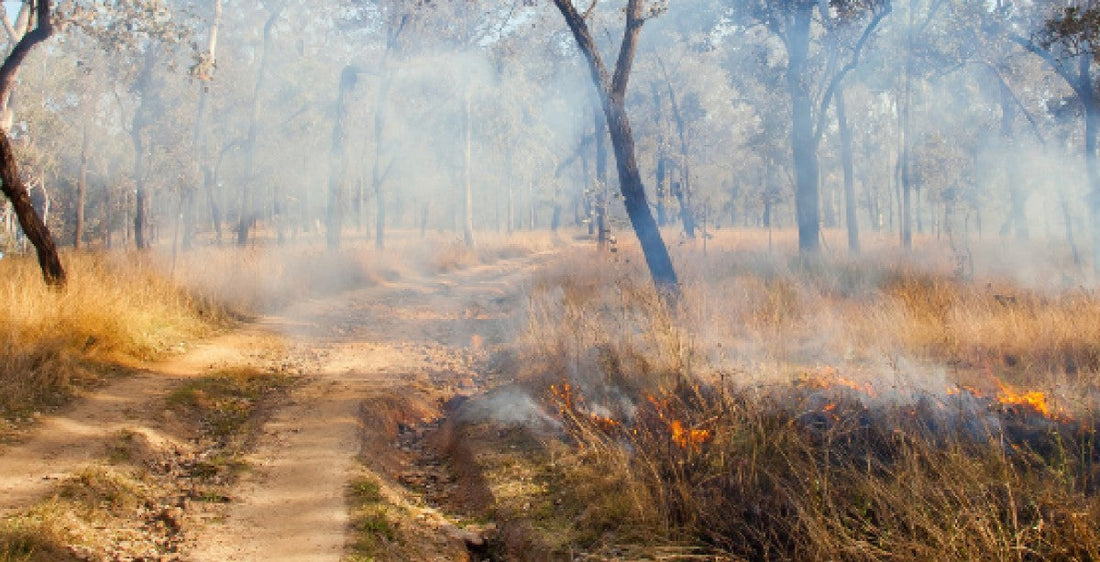 Personal Protection Blankets: Staying Safe During a Bushfire