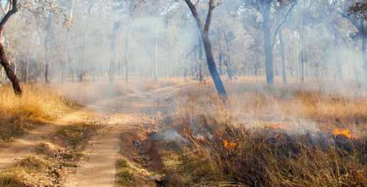 Personal Protection Blankets: Staying Safe During a Bushfire