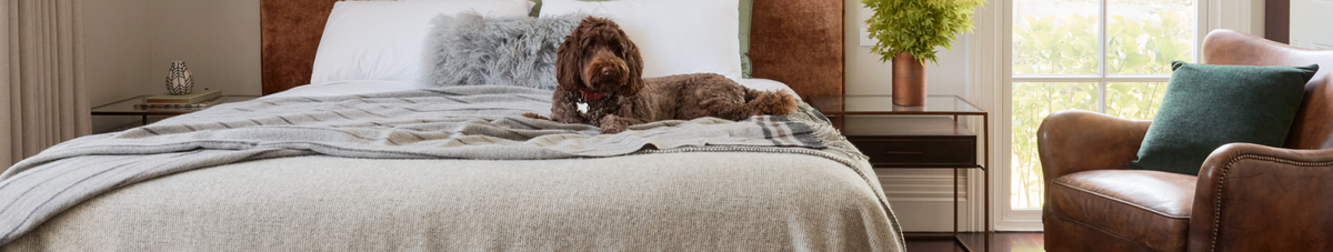 Alpaca Blankets
