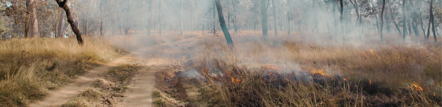 CFA Wool Aramid Fire Blankets