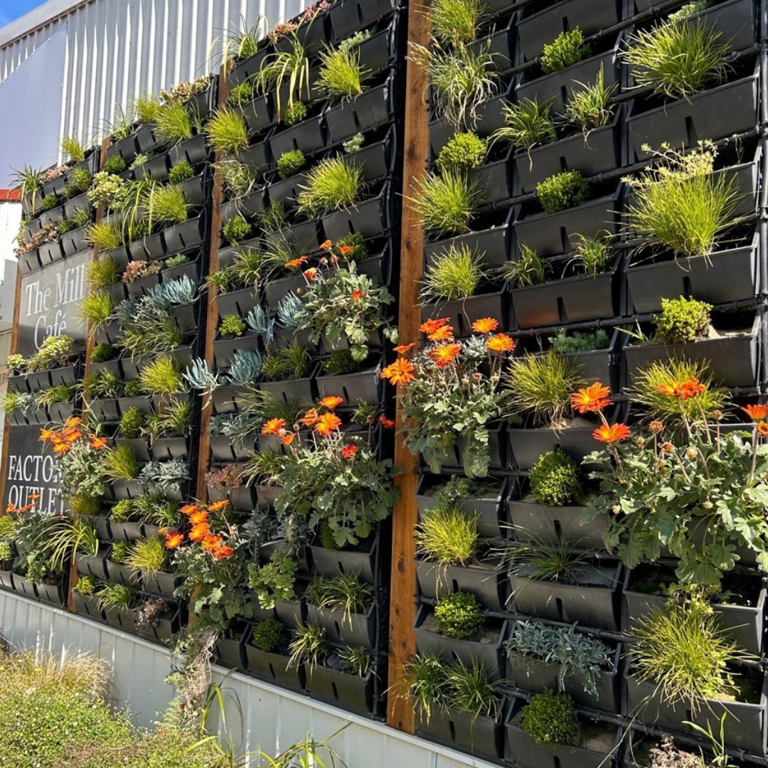 Creswick image with text