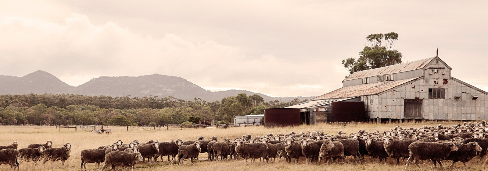 Join Creswick Rewards