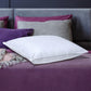 Microfiber Europe Pillow