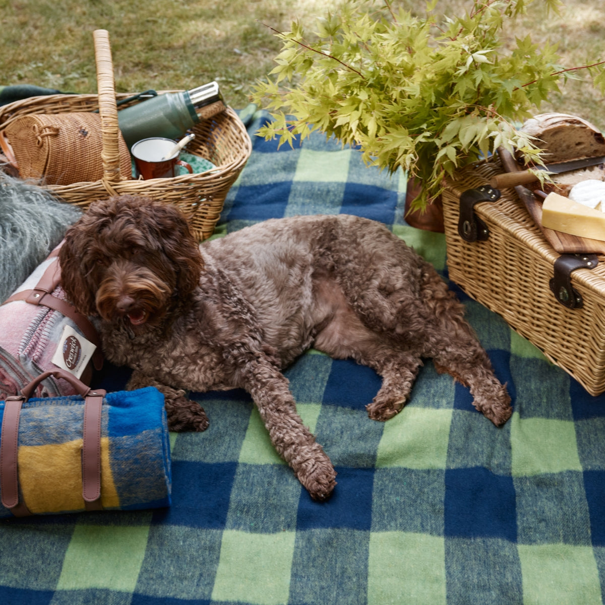 Drover Blanket Stitch Picnic Blanket Block