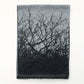 100% Silk Scarf