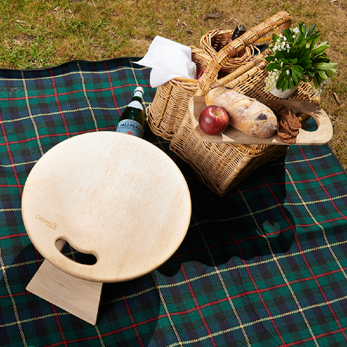 Water Resistance Picnic Rug Check