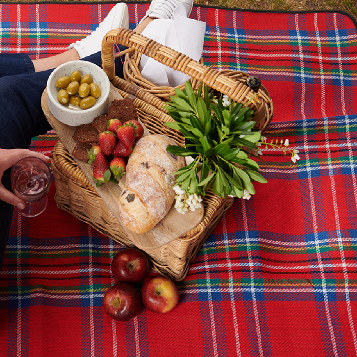 Water Resistance Picnic Rug Check